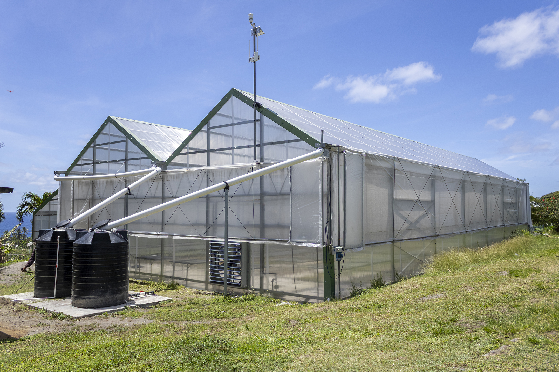 Climate-Controlled Greenhouse at the Agricultural Biotechnology Centre in Orange Hill
